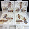 Bradford Dona Gelsinger Heaven's Little Angels Christmas Ornaments Sets 5 - 8