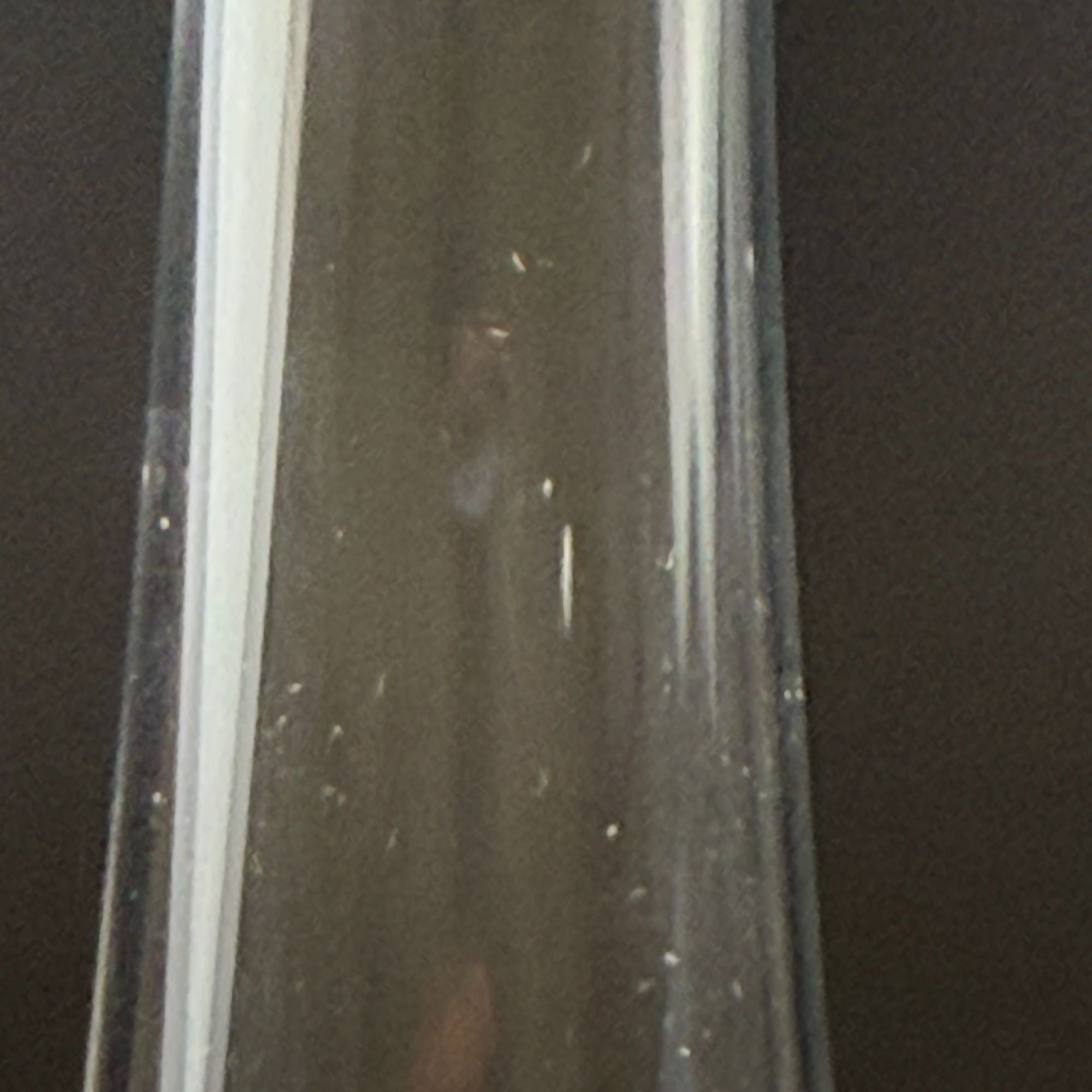 Vintage Viking Swung Cabbage Leaf Vase Clear Frosted Glass