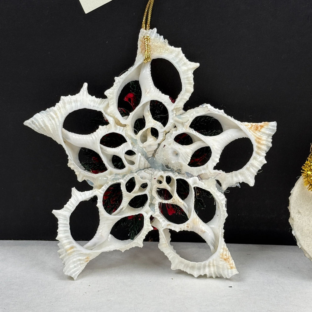 Vintage Hand Made Sea Shell Christmas Ornaments Lot Of 2