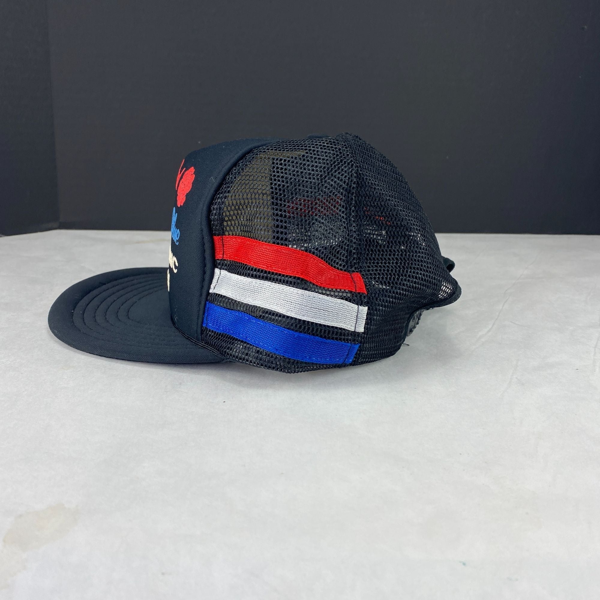 Vintage Roses Are Red I'm Schizophrenic And So Am I Snapback Mesh Hat
