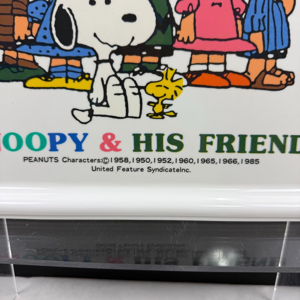 Vintage Snoopy & His Friend Shelina Melamine Tray Peanuts Design